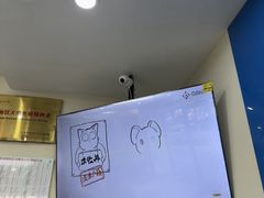 -全心全意连锁动物医院·微创中心·内科急重症·心脏专科(丰管路店)