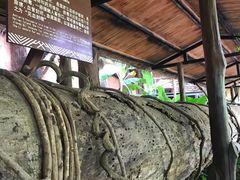 -海南槟榔谷黎苗文化旅游区