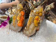 -东海怡品海鲜豆捞(舟宿夜江店)