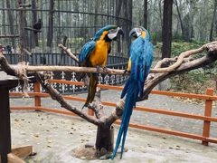 -北京野生动物园