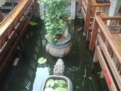 -三只耳火锅(宽窄巷子店)