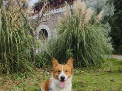 -南京市规划建设展览馆