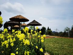 -中国香山·寿香谷