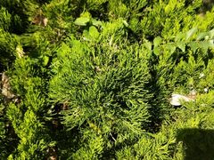 -武清南湖绿博园