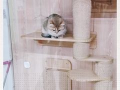 -米卢宠物公园(广华居店)