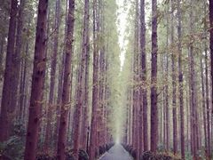 iphone_upload_pic-上海怡沁园度假酒店