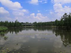 -白鹭湾湿地公园