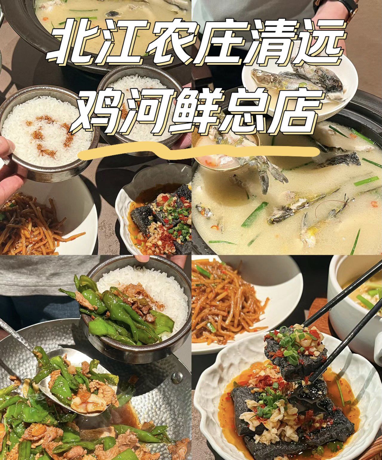 清远必打卡景点 #清远旅游 #来到清远吃粤菜 #北江农庄清远鸡河鲜