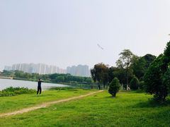 -飞来湖湿地公园
