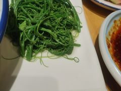 木姜油丝瓜尖-金悦印象小馆(三里河店)