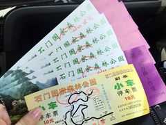 -广州市石门国家森林公园