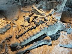 -自贡恐龙博物馆