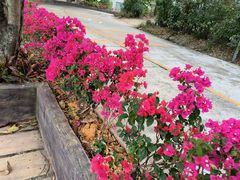 -东莞观音山旅游风景区
