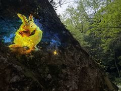 -雁荡山风景名胜区