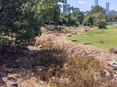 -白塘生态植物园