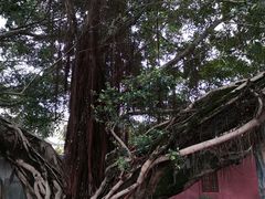 -闽粤南澳总镇府