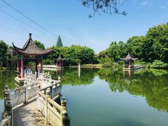 -青龙山国家森林公园