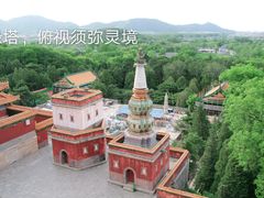-颐和园