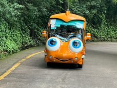 -鼎湖山风景区