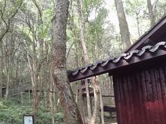 -富春桃源风景区