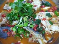 -全乐鱼馆·淳牌有机鱼直营店