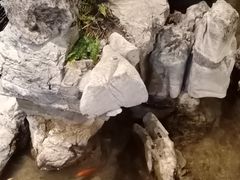 -渝厨生态火锅(合川区府店)