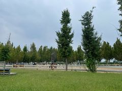 -北京群众马术培训基地