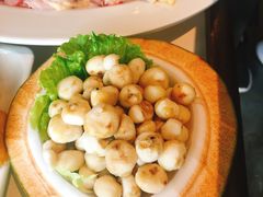 -百年果林椰子鸡(中洲店)