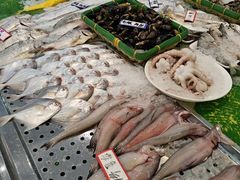 -魚當家