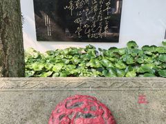 -西湖风景区十里琅珰-五云山