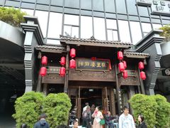 -陈麻婆豆腐总店