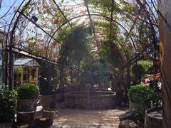 -The Grounds of Alexandria