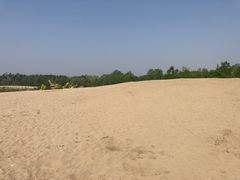 -东郊湿地公园