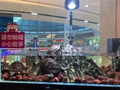 -北李妈妈菜·海肠捞饭(高新万达店)