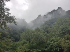 -青峰峡国家森林公园