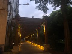 -TPLUS茶家(淮海店)