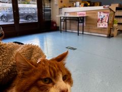 -萌兽医馆·犬猫专科·眼科中心·宠物医院(朝阳门分院)
