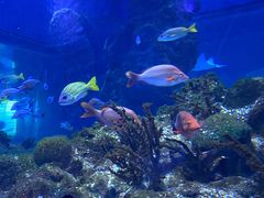 -海合安武汉极地海洋公园