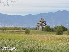 -野鸭湖国家湿地公园