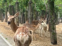 -秦皇岛野生动物园