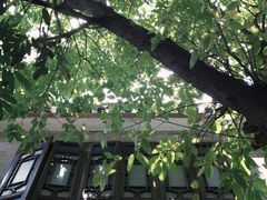 -陳添記·祖傳爽鱼皮(十五甫三巷店)