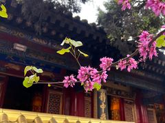-西安市广仁寺