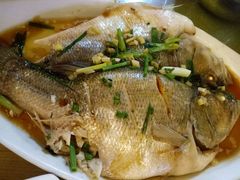 -云河农家乐饭店(福禄缘树山店)
