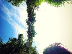 -双龙潭生态运动景区