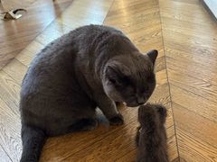 -Me Coffee下午茶艺术空间