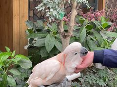 -南宫五洲植物乐园