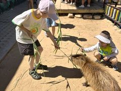 -西霞口神雕山野生动物世界
