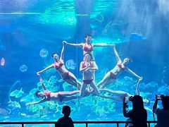 -泉城欧乐堡海洋极地世界