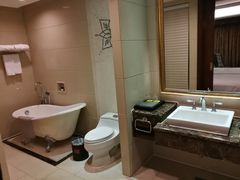 -圣爵菲斯大酒店(长沙世界之窗店)