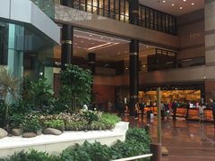 -上海新锦江大酒店